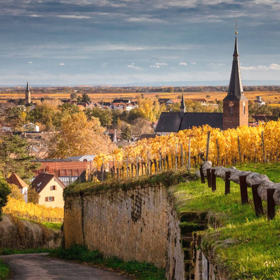Deidesheim – Deutsche Weinstraße
